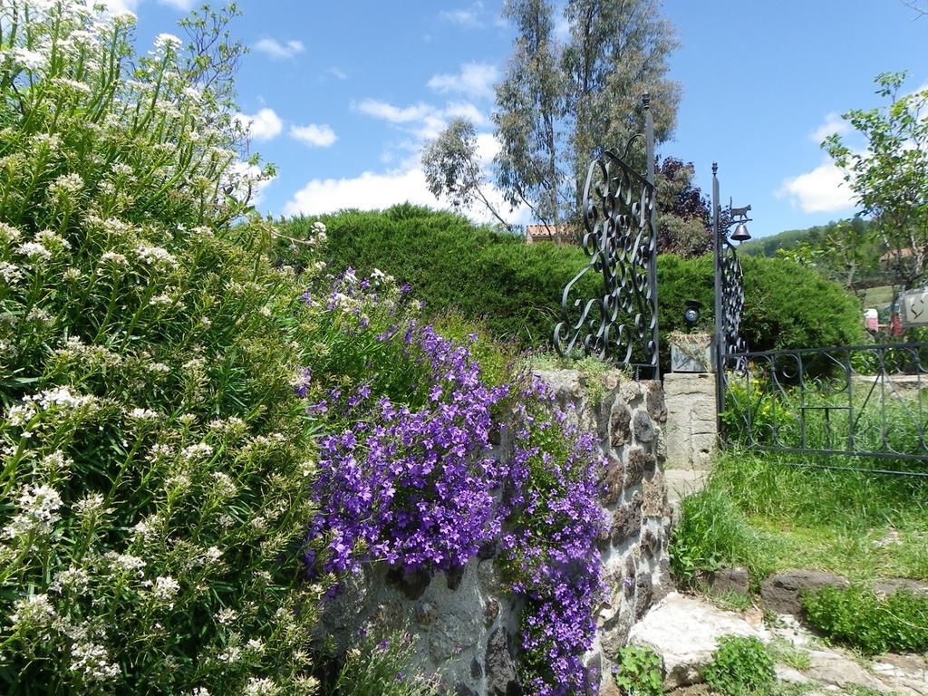 Bed and Breakfast Le Cabanon Thueyts Exterior foto